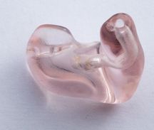 Hearing Aids